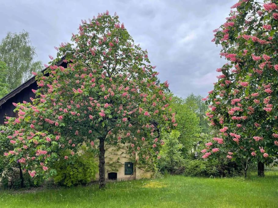 Komfortowy Dom W Lesie Miedzichowo Exterior foto